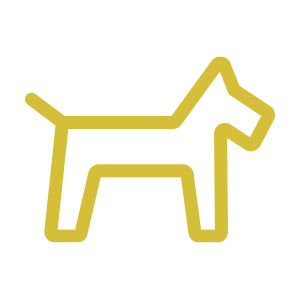 accueil-des-chiens.png