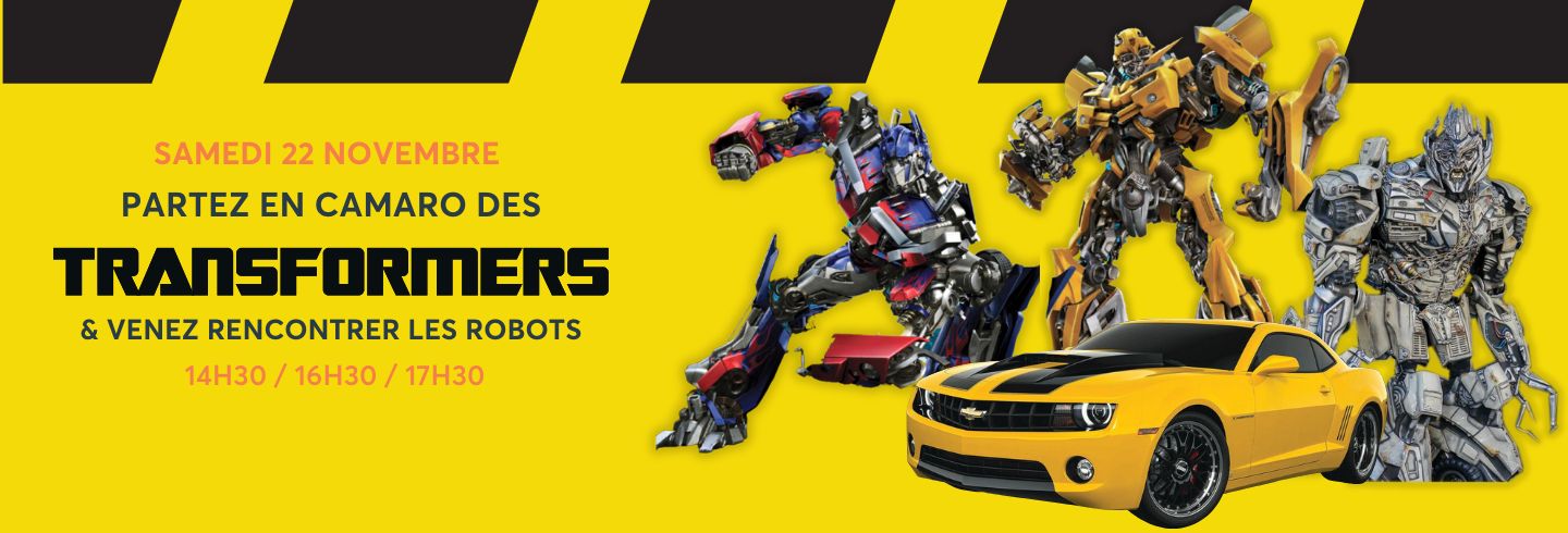 Robots géants PERPIGNAN