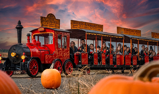 train halloween promenade de flandre