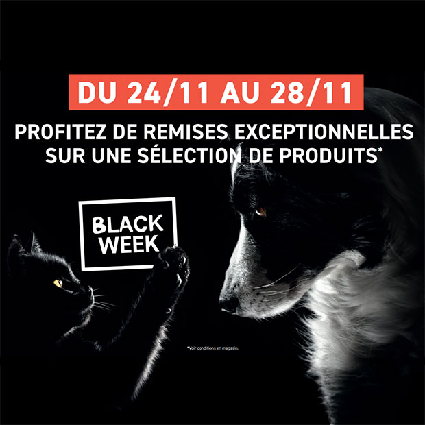 Black Week chez Tom & Co : remises exceptionnelles sur une sélection de produits
