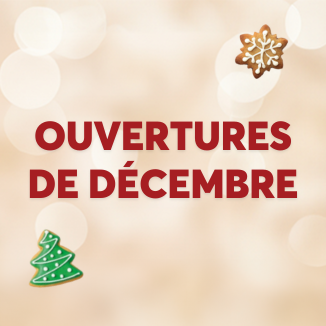 Noël Centre Commercial Aushopping Bordeaux Lac ouvertures exceptionnelles décembre