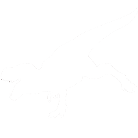 Dinosaures
