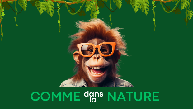 Exposition Ludo-éducative Comme dans la Nature Animaux Centre Commercial Nice Côte d'Azur Juillet Août 2025