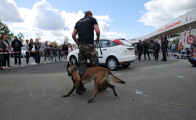 Gendarmerie démonstration chien