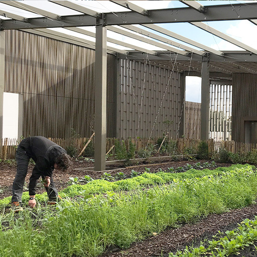 1657184096736-Bordeaux-RSE-Potager-512x512.jpg