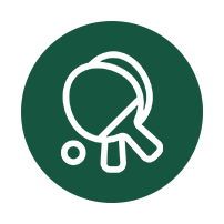 ping-pong logo.png