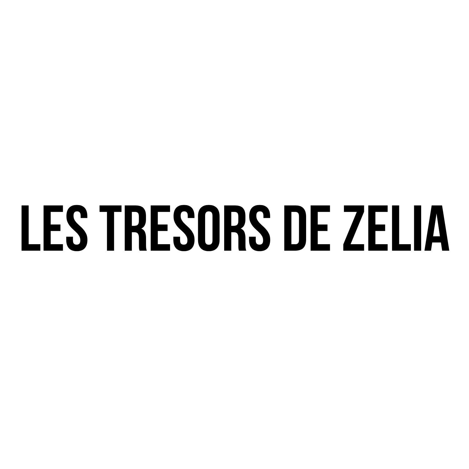 les tresors de zelia boutique concept store