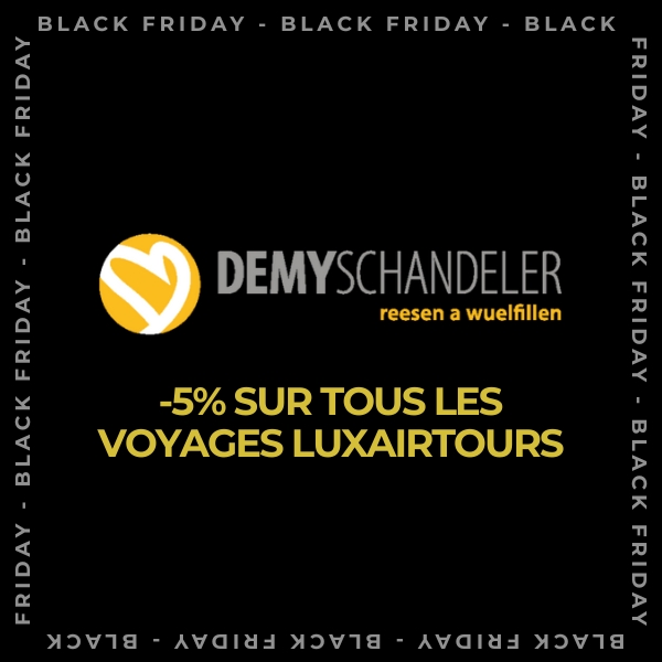 BLACK FRIDAY DEMY SCHANDELER