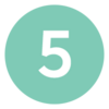 ICONE 5.png