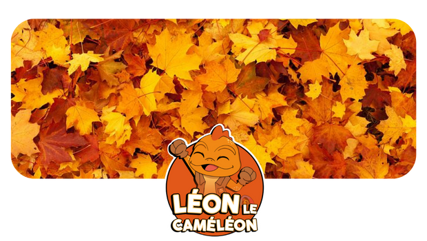 novembre.png