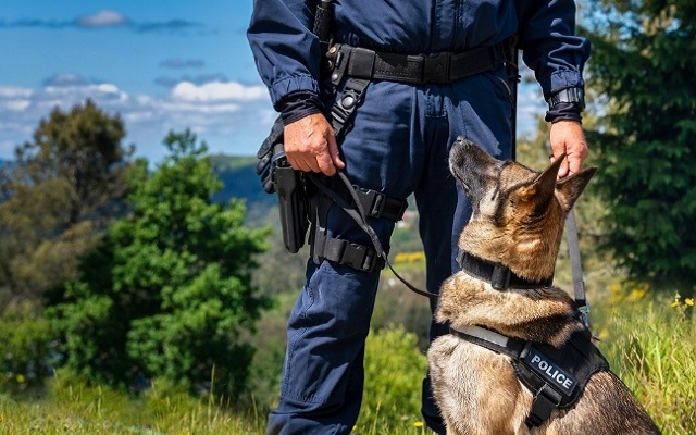 Démonstration chien police